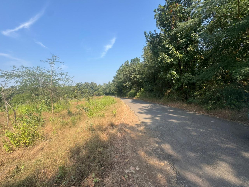  40 Guntha Agricultural/Farm Land for Sale in Murbad, Thane