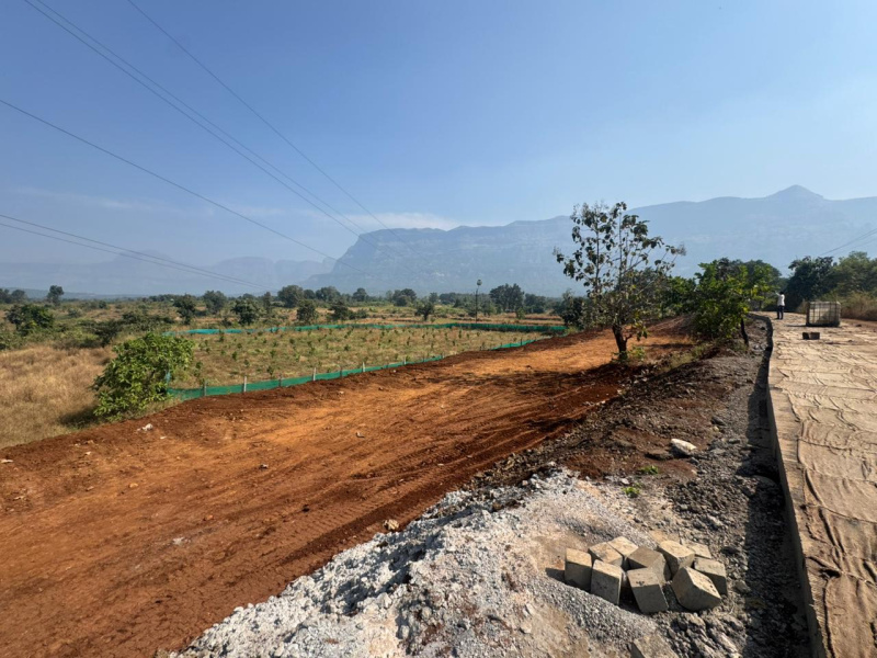  25 Guntha Agricultural/Farm Land for Sale in Murbad, Thane