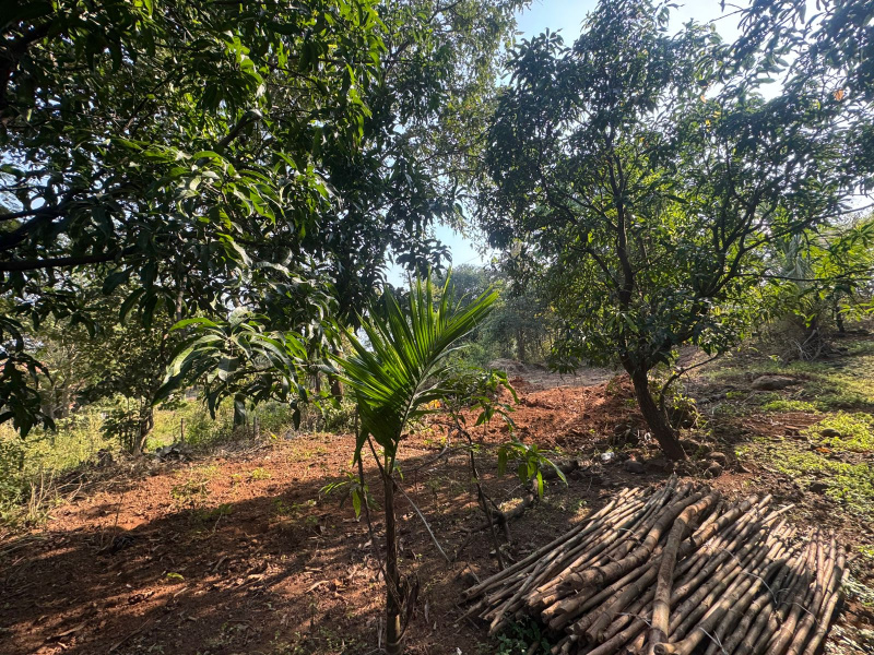  3 Acre Agricultural/Farm Land for Sale in Murbad, Thane