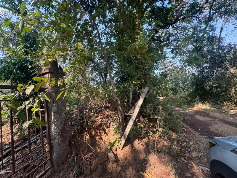  3 Acre Agricultural/Farm Land for Sale in Murbad, Thane