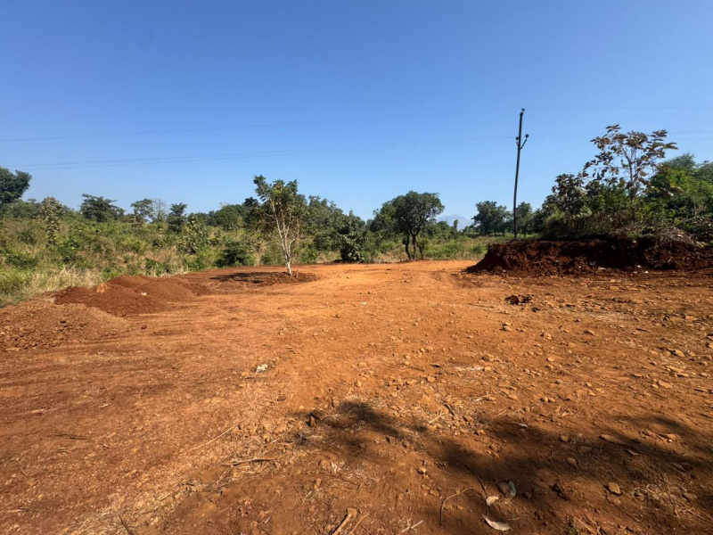  30 Guntha Agricultural/Farm Land for Sale in Murbad, Thane