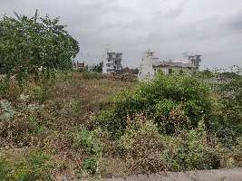  Residential Plot for Sale in Sector 9 Bahadurgarh