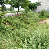  Residential Plot for Sale in Sector 10, Bahadurgarh