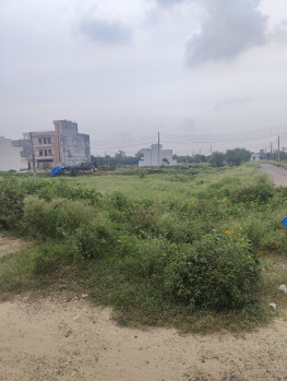  Residential Plot for Sale in Sector 11 Bahadurgarh