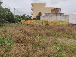  Residential Plot for Sale in Sector 13 Bahadurgarh