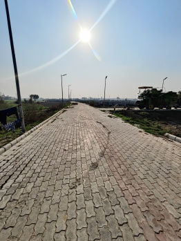  Residential Plot for Sale in Sector 29 Bahadurgarh