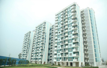 2 BHK Flat for Sale in Sector 37 Bahadurgarh