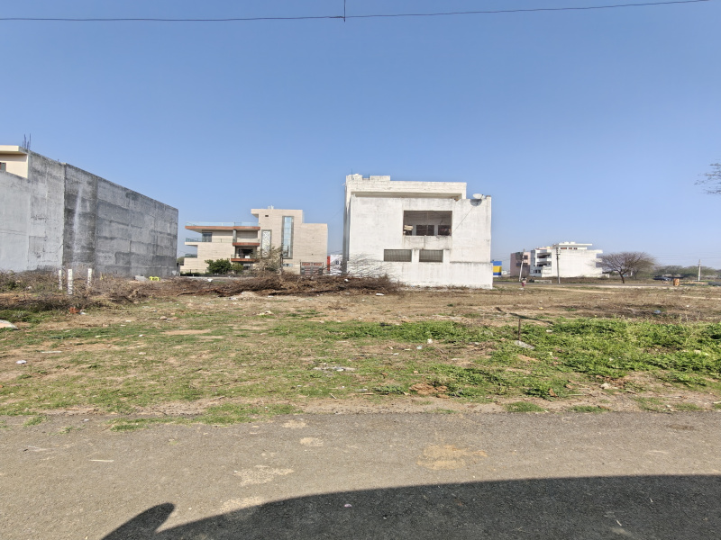 Sector 9A, Bahadurgarh photo 4