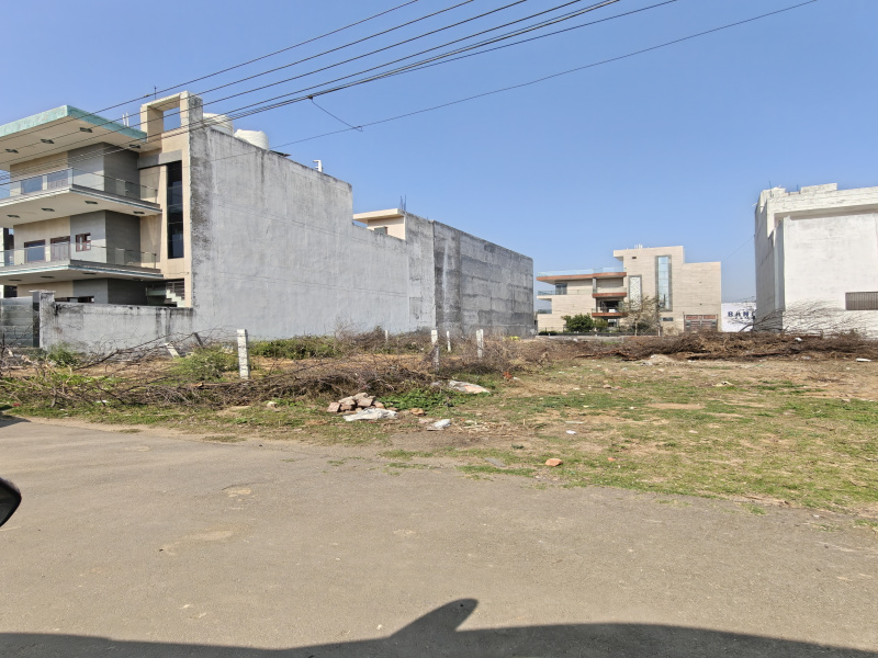 Sector 9A, Bahadurgarh photo 5