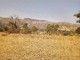  Agricultural Land for Sale in Haveli, Pune