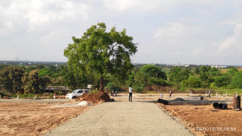  Residential Plot 3020 Sq.ft. for Sale in Shikrapur, Pune
