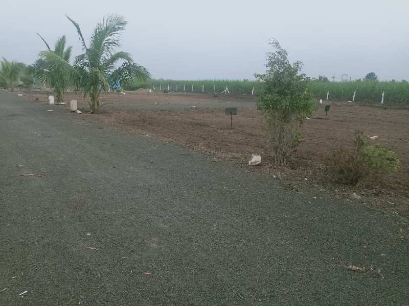 1000 Sq.ft. Residential Plot for Sale in Dhanori, Pune (REI921539)