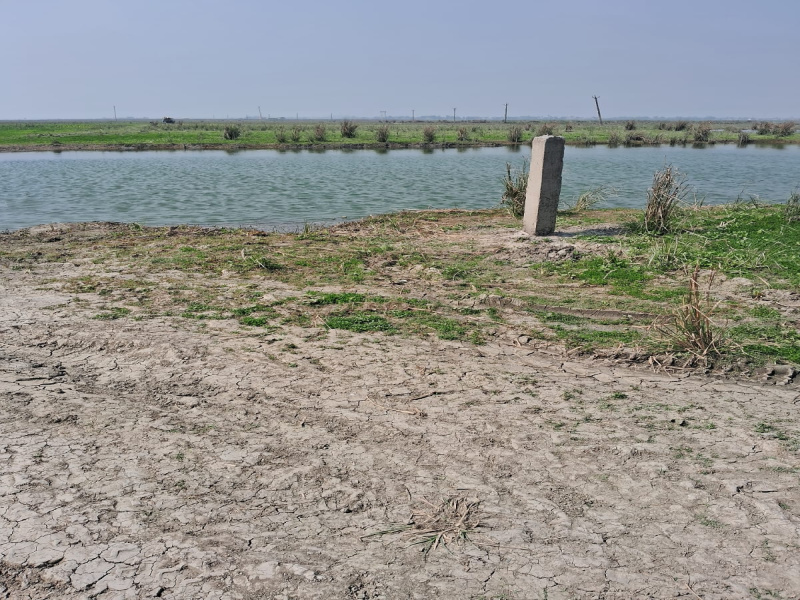  1000 Sq.ft. Residential Plot for Sale in Sonepur, Saran