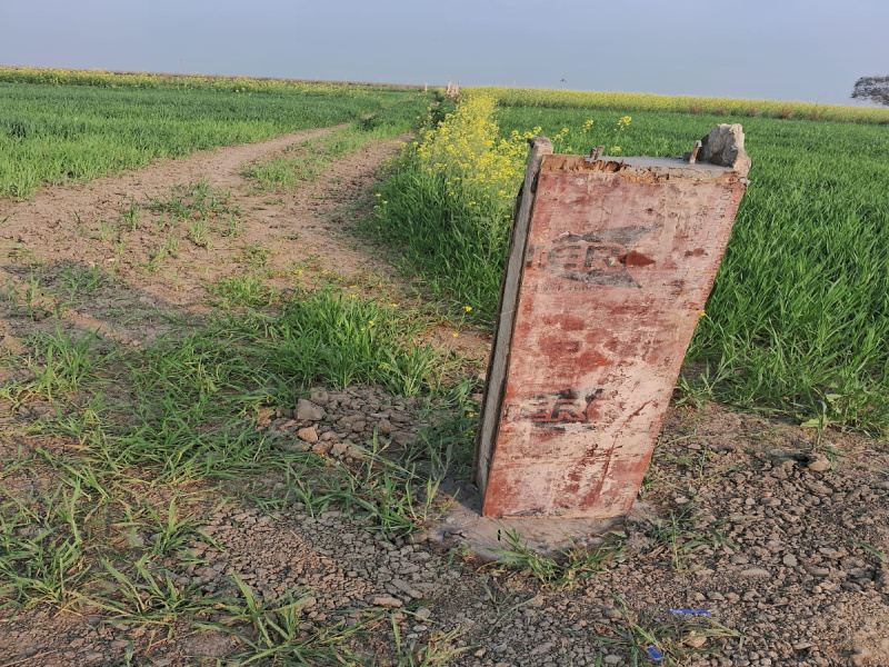  1000 Sq.ft. Residential Plot for Sale in Sonepur, Saran