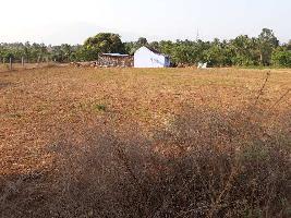  Commercial Land for Sale in Chittur Thathamangalam, Palakkad