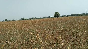  Agricultural Land for Sale in Timarni, Harda