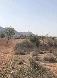 Agricultural Land for Sale in Amangal, Rangareddy