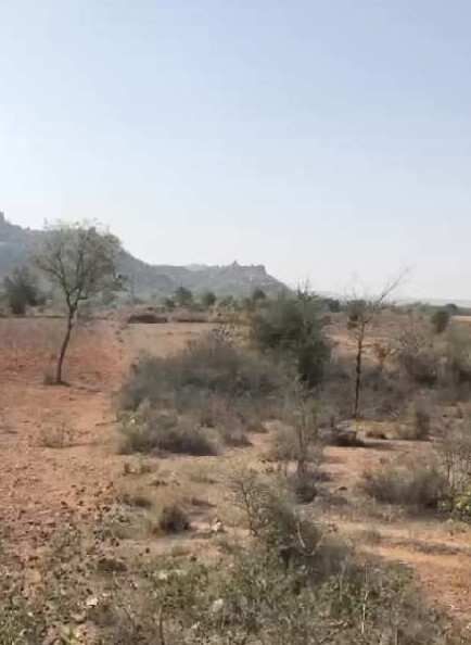  Agricultural Land 1 Acre for Sale in Amangal, Rangareddy