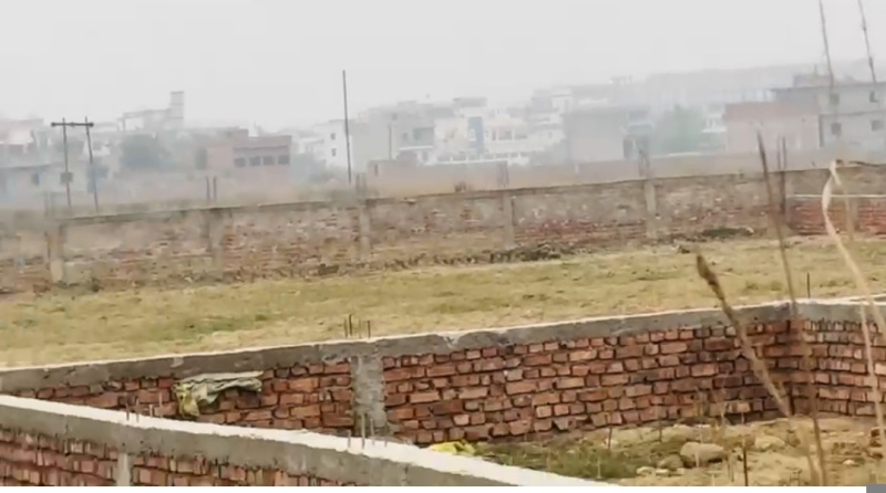 Delhi More, Darbhanga photo 3