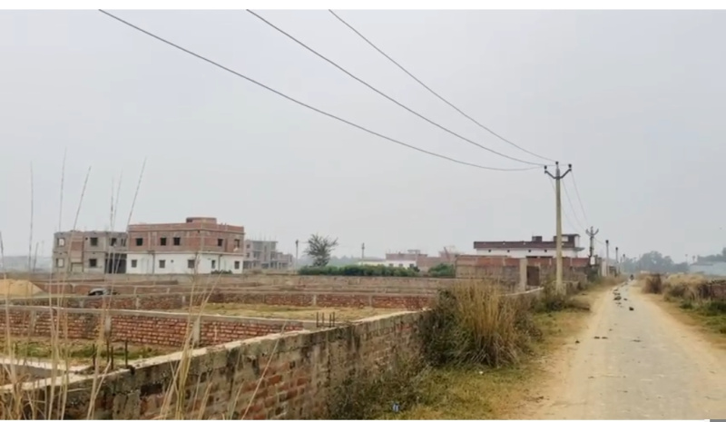 Delhi More, Darbhanga photo 4