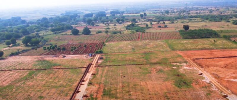  Agricultural Land 50 Acre for Sale in Hindupur, Anantapur