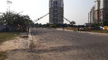  Residential Plot for Sale in Manesar, Gurgaon