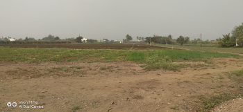  Agricultural Land for Sale in Shirdi, Ahmednagar