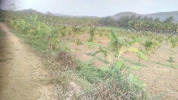  Agricultural Land for Sale in Bhadravati, Shimoga