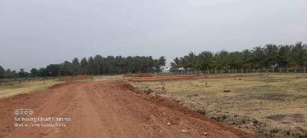  Agricultural Land for Sale in Pappampatti, Dindigul