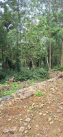  Residential Plot for Sale in Yercaud, Salem