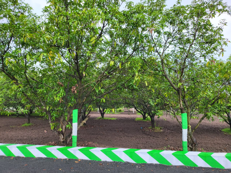 Olakkur, Villupuram photo 3