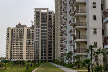 3 BHK Flat for Sale in Sector 70 Faridabad