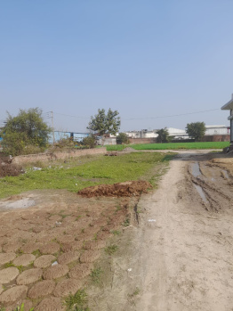  Residential Plot for Sale in Sector 46 Faridabad