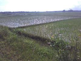  Agricultural Land for Sale in East Coast Road, Chennai