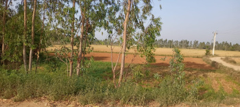  Agricultural Land for Sale in NH 72, Dehradun