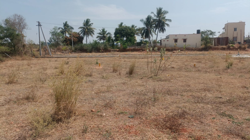 Commercial Land 54000 Sq. Meter for Sale in