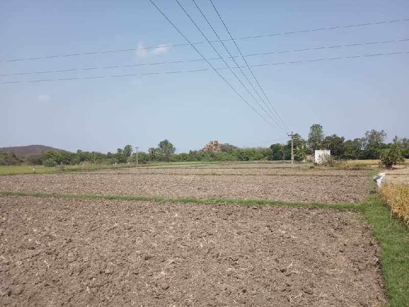Agricultural Land 59 Cent for Sale in Thirukazhukundram, Kanchipuram