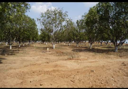  Residential Plot 150 Sq. Yards for Sale in Adikmet, Hyderabad