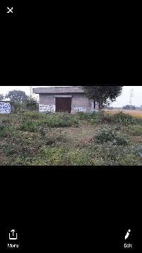  Agricultural Land for Sale in S.B.S. Nagar, Nawanshahr