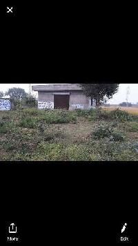  Agricultural Land for Sale in S.B.S. Nagar, Nawanshahr