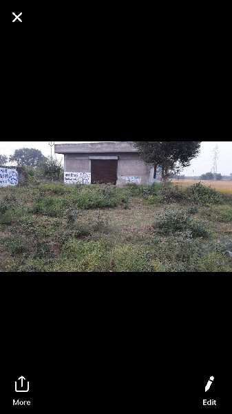  Agricultural Land 42 Marla for Sale in S.B.S. Nagar, Nawanshahr
