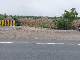  Agricultural Land for Sale in Main Pali to ahemdabad highway road, Pali