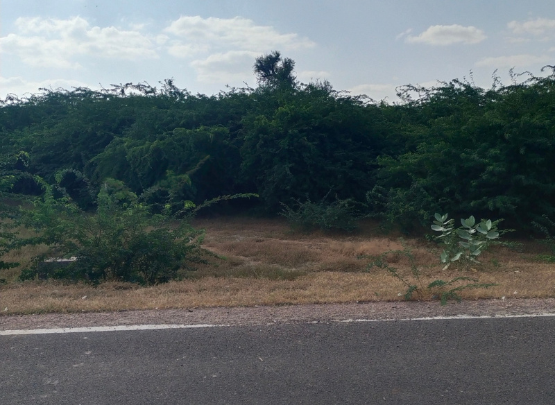  Industrial Land 1250 Sq. Meter for Sale in Salawas Road, Jodhpur