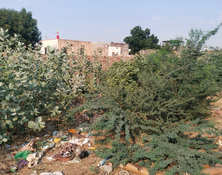  Commercial Land 796 Sq. Yards for Sale in Pali Road, Jodhpur