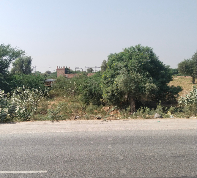  Commercial Land 2488 Sq. Yards for Sale in Pali Road, Jodhpur