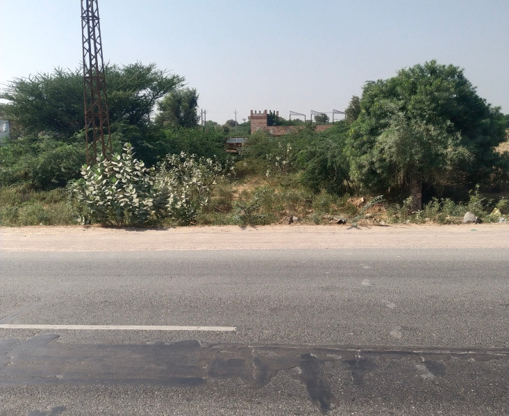  Commercial Land 2488 Sq. Yards for Sale in Pali Road, Jodhpur