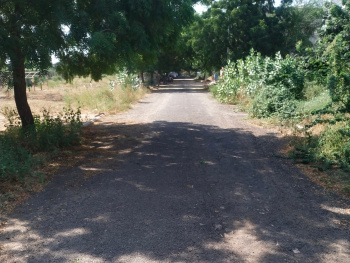  Residential Plot for Sale in Sangaria Bypass, Jodhpur