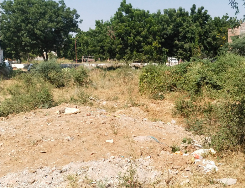  Residential Plot 200 Sq. Yards for Sale in Sangaria Bypass, Jodhpur