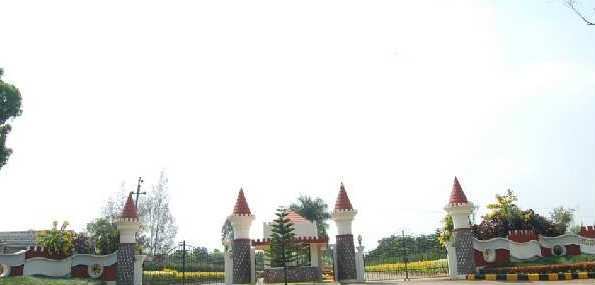 Elevation
