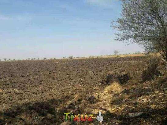 Agricultural Land 4 Acre for Sale in Chitapur, Gulbarga
